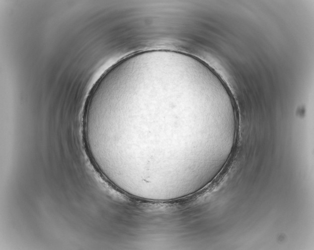 X0000093560949200711051035