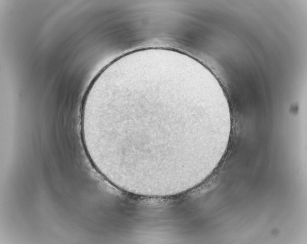 X0000093560950200711051035