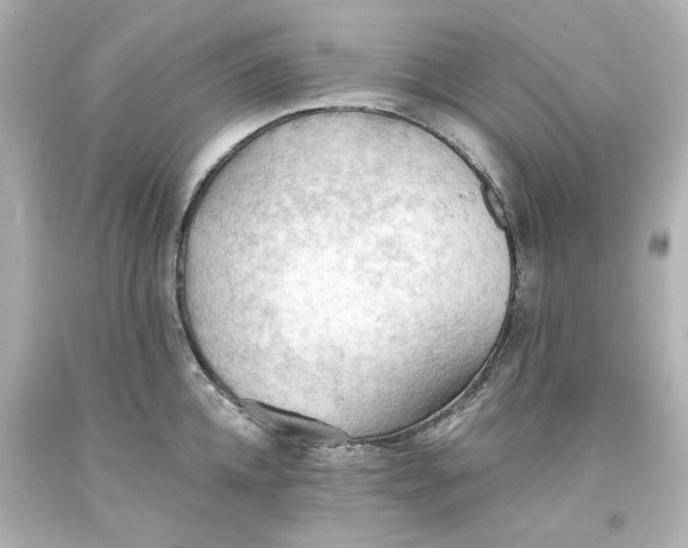 X0000093560952200711051035