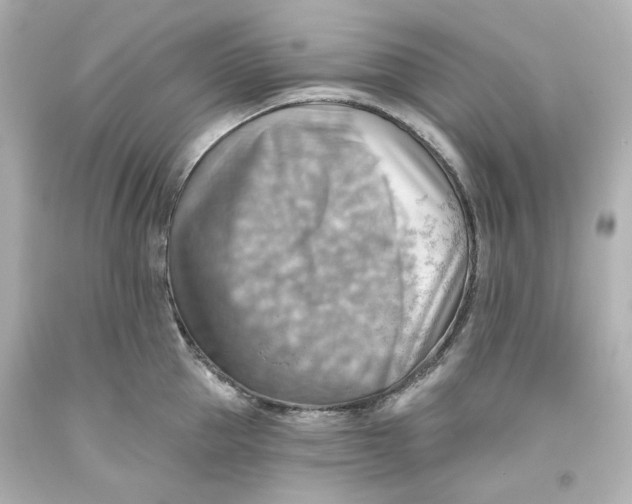 X0000093560953200711051035