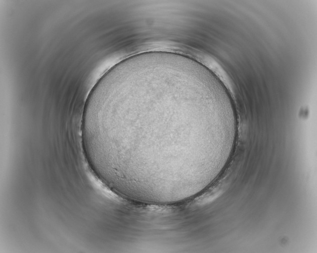 X0000093560954200711051035