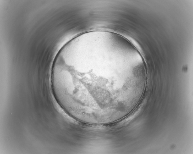 X0000093560957200711051035