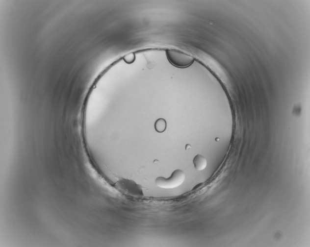 X0000093560958200711051035