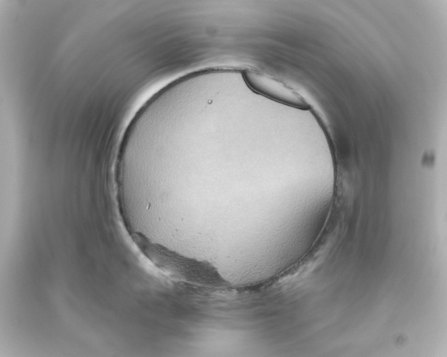 X0000093560959200711051035