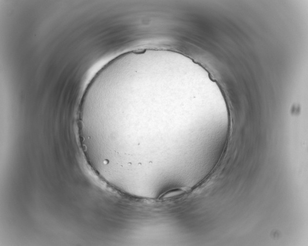 X0000093560960200711051035