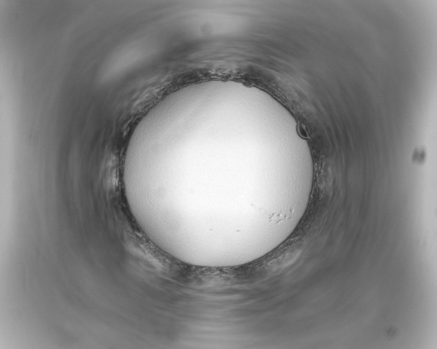 X0000093560962200711051034