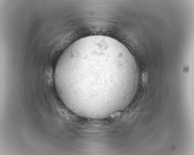 X0000093560963200711051034