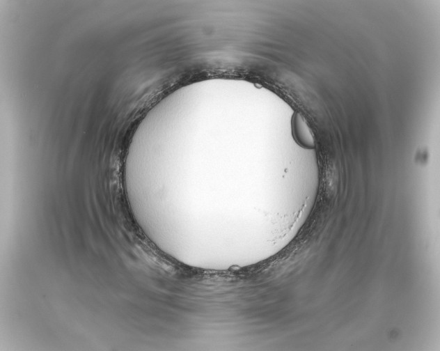 X0000093560964200711051034