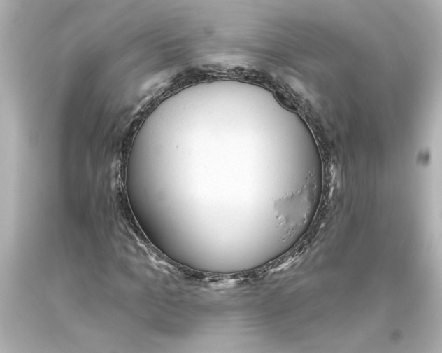 X0000093560965200711051034