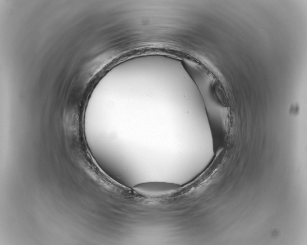 X0000093560969200711051034