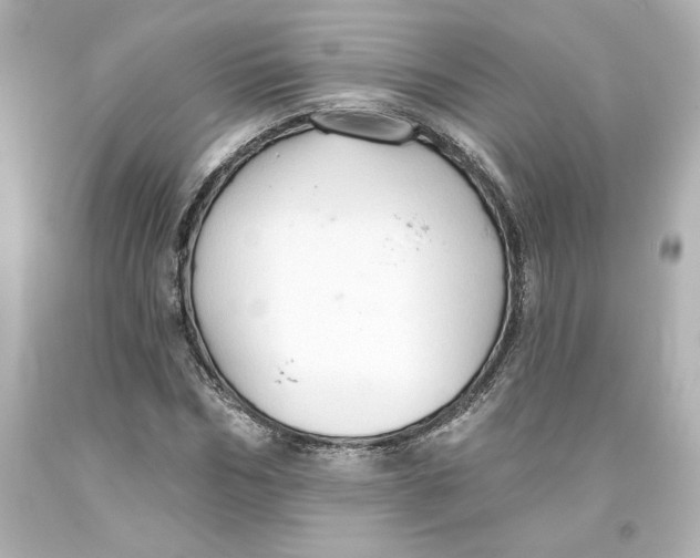 X0000093560970200711051034