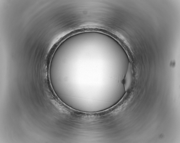 X0000093560973200711051034