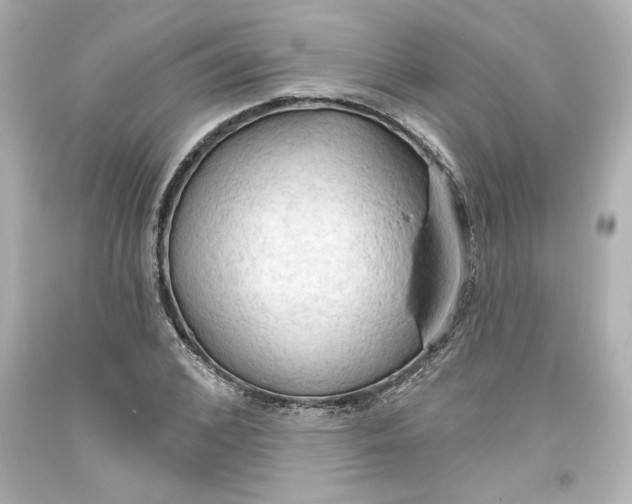 X0000093560976200711051034