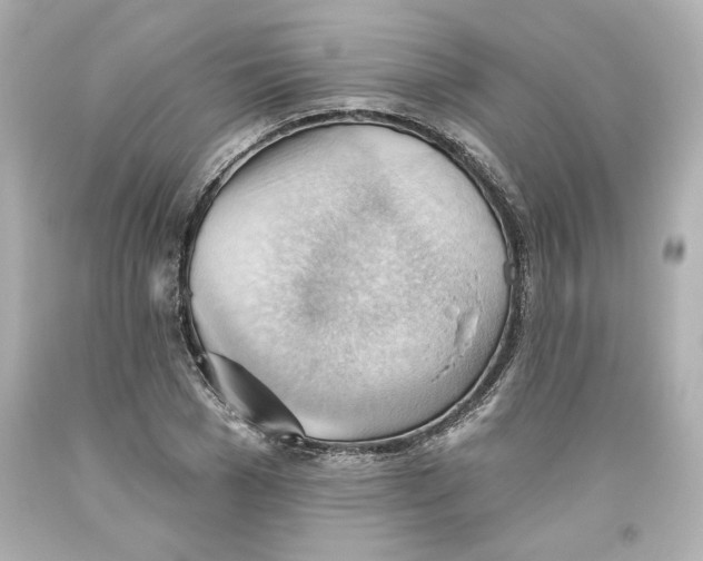 X0000093560977200711051034