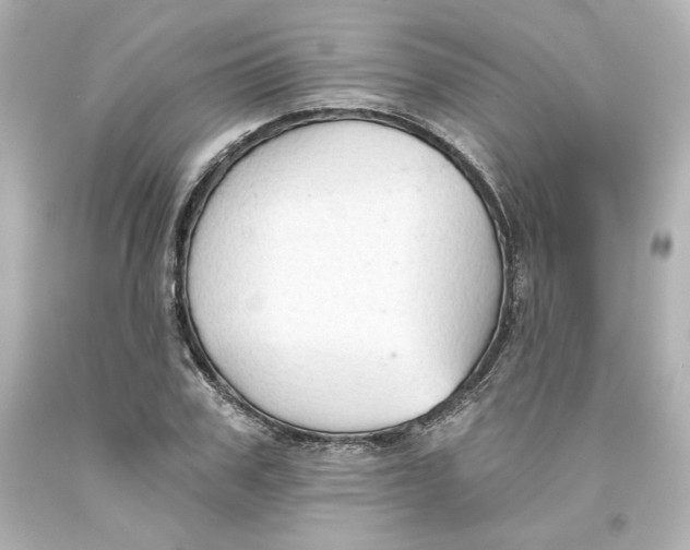 X0000093560979200711051034