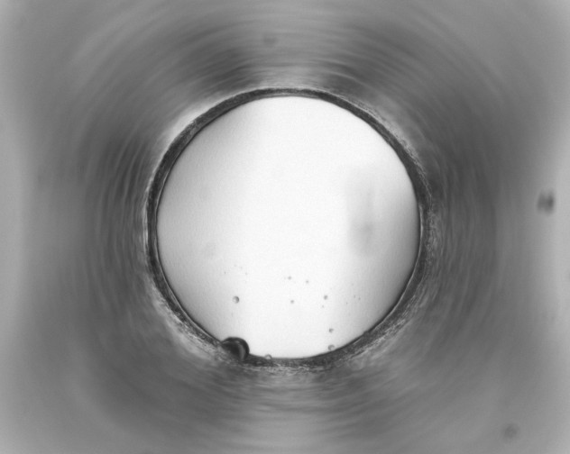 X0000093560980200711051034