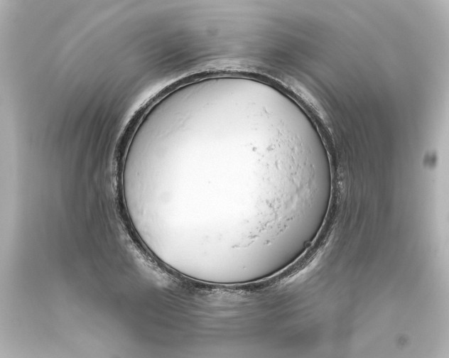 X0000093560981200711051034