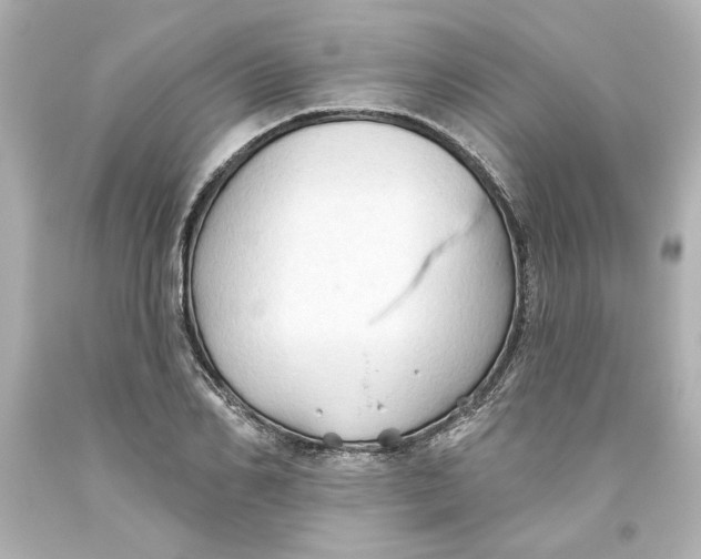 X0000093560982200711051034