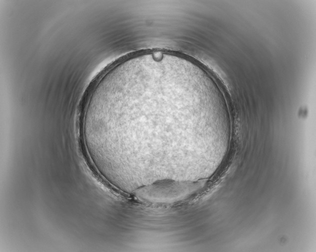 X0000093560983200711051034