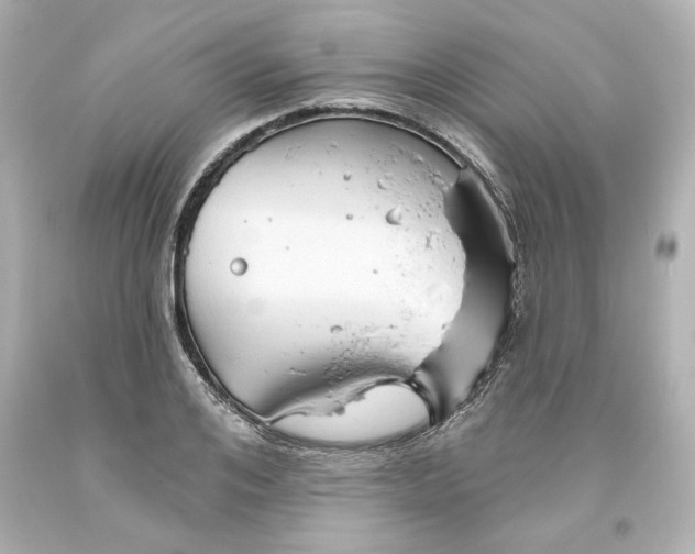 X0000093560984200711051034