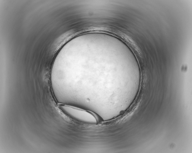 X0000093560985200711051034