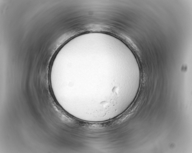 X0000093560986200711051034