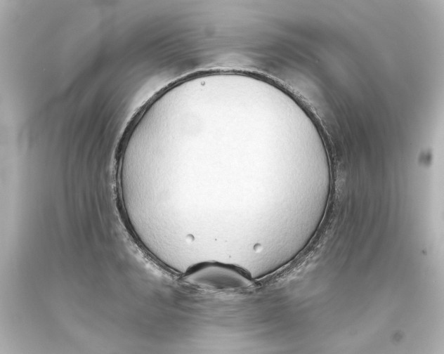 X0000093560990200711051034