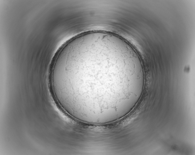 X0000093560991200711051034