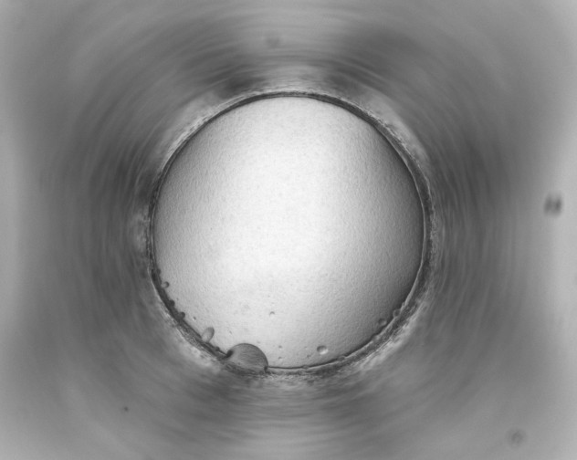 X0000093560993200711051034