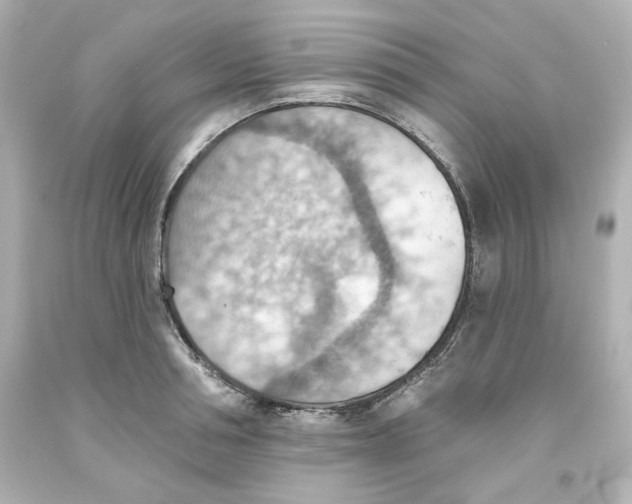 X0000093560994200711051034