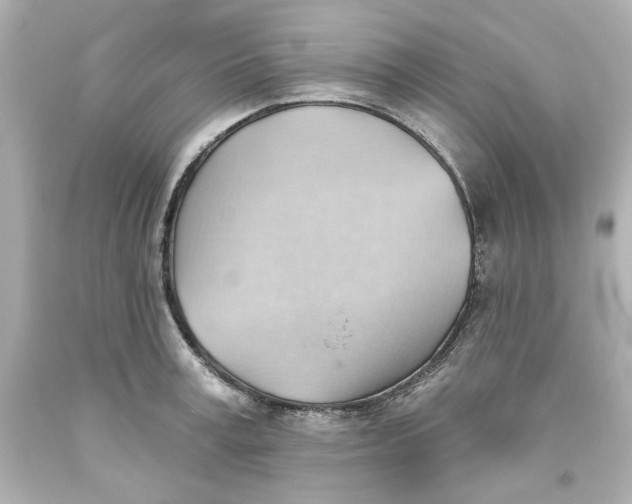 X0000093560995200711051034