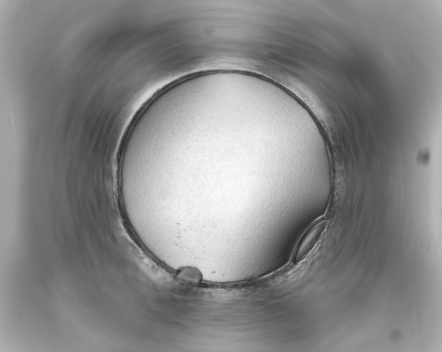 X0000093560996200711051034