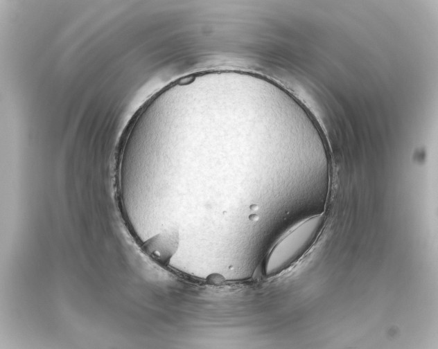 X0000093560997200711051034