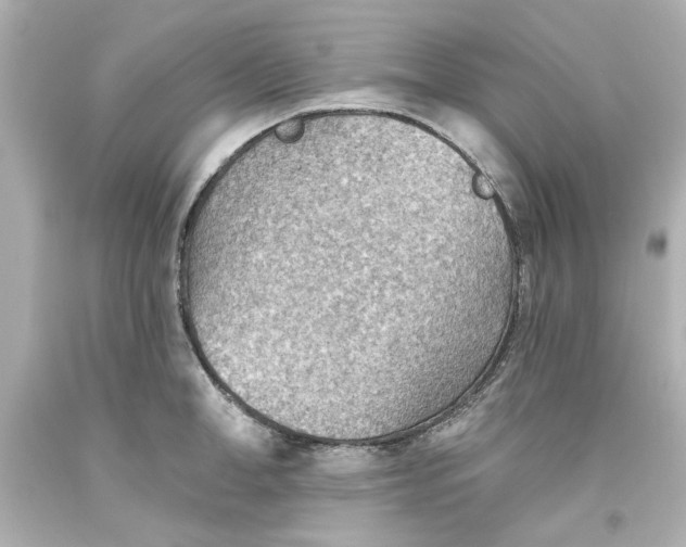 X0000093560998200711051034