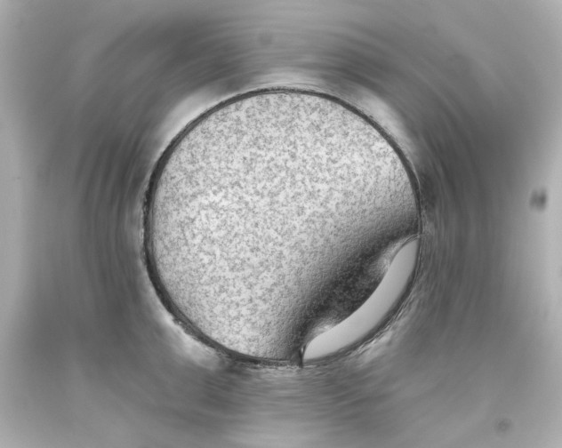 X0000093560999200711051034