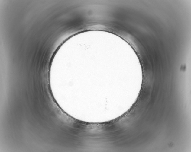 X0000093561000200711051034