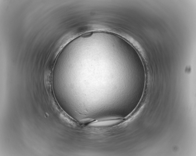 X0000093561001200711051034