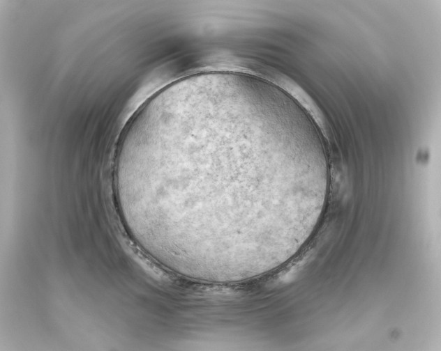 X0000093561002200711051034