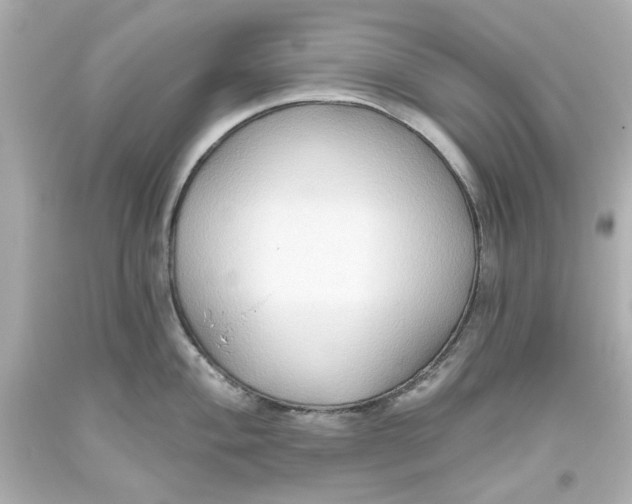 X0000093561004200711051034