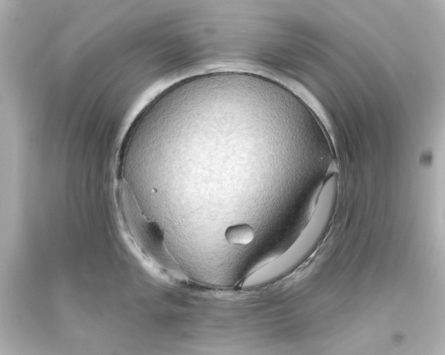 X0000093561005200711051034