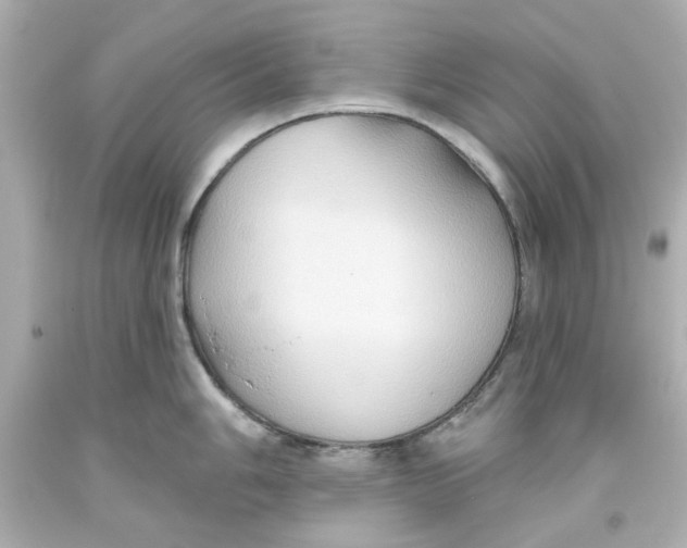 X0000093561006200711051034