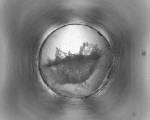 X0000093561007200711051034