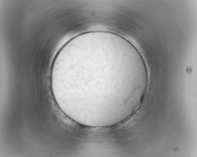 X0000093561008200711051034