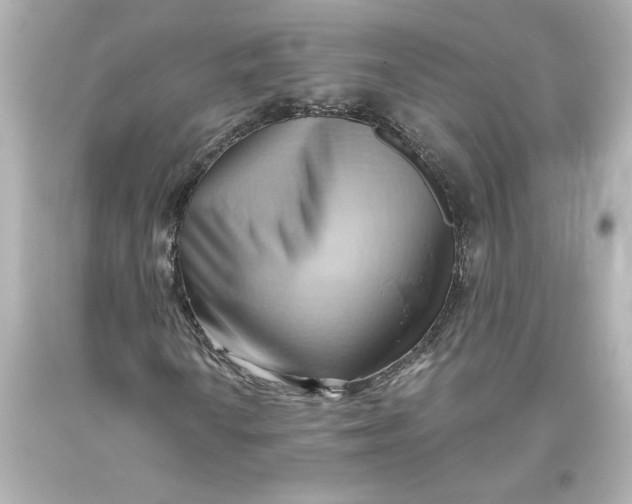 X0000093561010200711051033