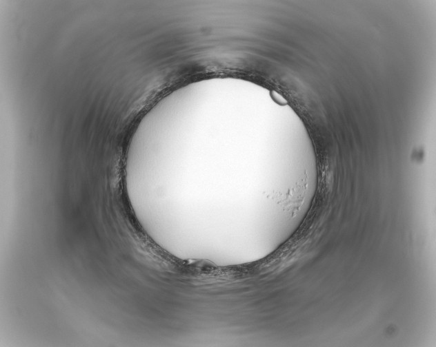 X0000093561012200711051033