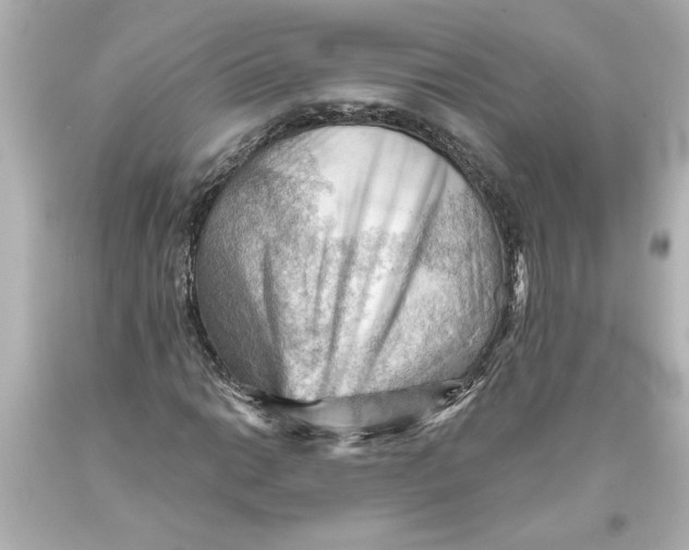 X0000093561014200711051033