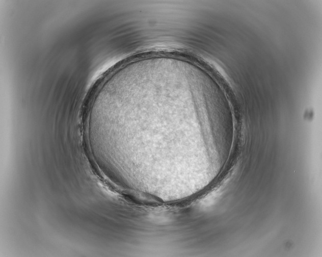 X0000093561018200711051033