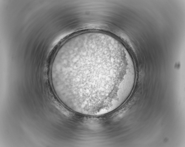 X0000093561019200711051033