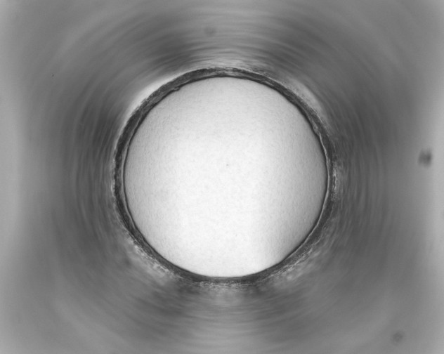 X0000093561020200711051033