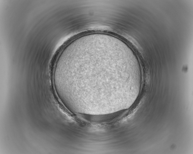 X0000093561022200711051033